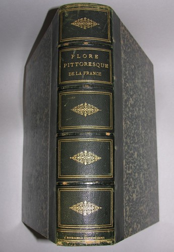 Flore pittoresque la - pittoresque,