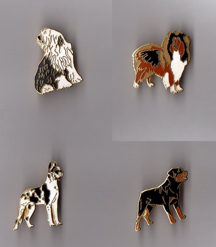 Pin chien races - 4,