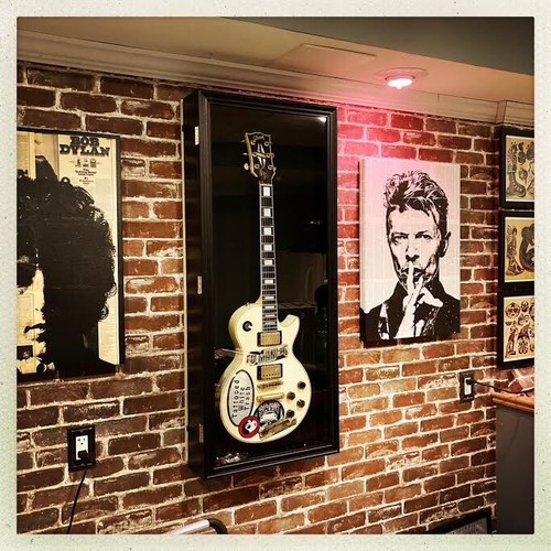 Guitar display case - guitar,