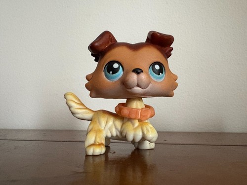 Petshop colley 58 - petshop, n°58