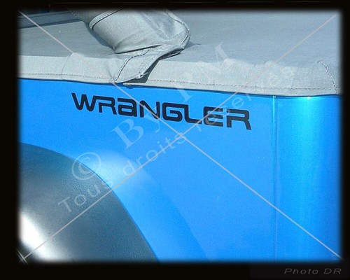 Stickers wrangler aile - 02,