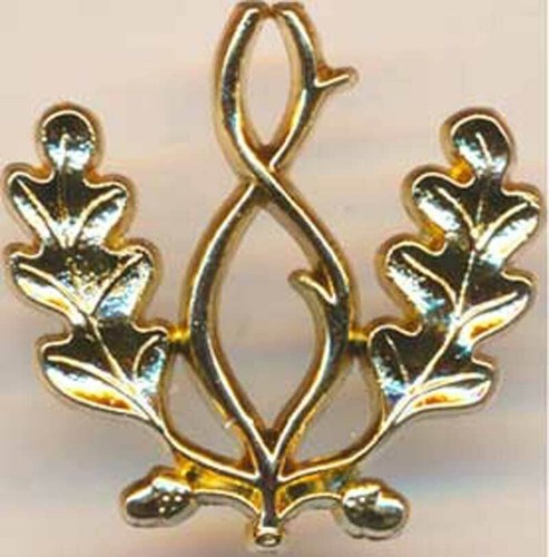 Insigne bonnet police - insigne, de