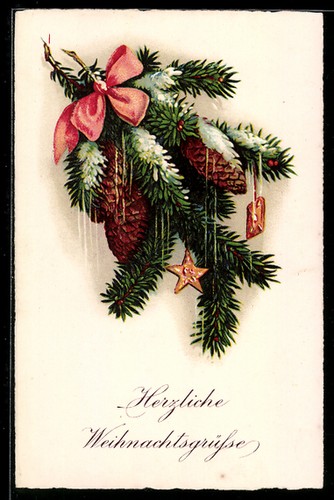 Branche sapin avec cônes - de,