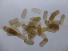 50 X Violoncelle Pont