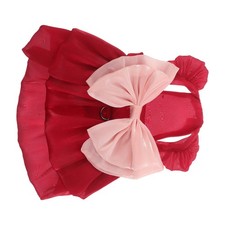  Deguisement Chien Vetement