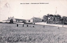 45* CHEVANNES bois des posses - general view RL58,1219