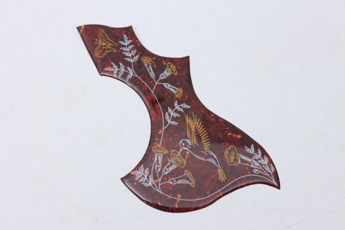 Pickguard ormeau colimingbird