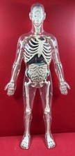 Grand Manequin anatomique
