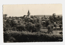 SANCERGUES (18) CATTLE IN PASTURE, VILLAS & CHURCH period 1950