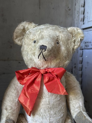 Grand ours collection - grand,