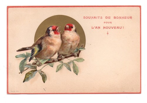 Oiseaux couple de - ,
