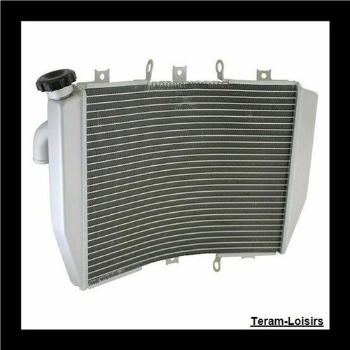Radiateur pour kawasaki ninja - radiateur,