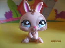 Petshop Dwarf Rabbit #827