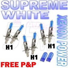 H1 55w 501's Xenon Ampoule