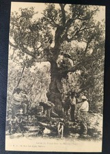 Carte postale Levée Du Liège