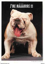 Carte Postale - Animaux -