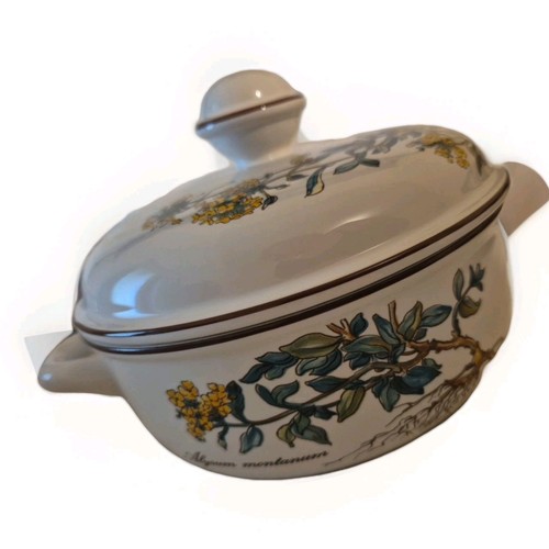 Jolie petite cocotte - petite, soupiere