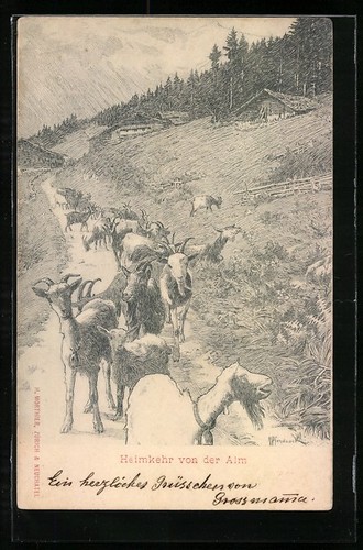 Carte postale artiste - postale, d'artiste