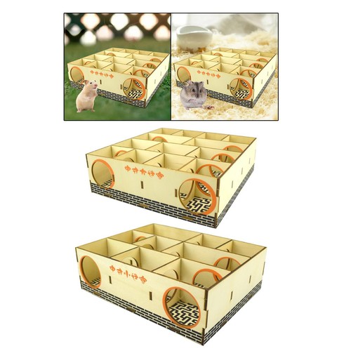 Hamster labyrinthe nain