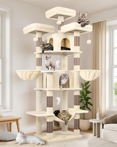 Arbre chat grand - chat,