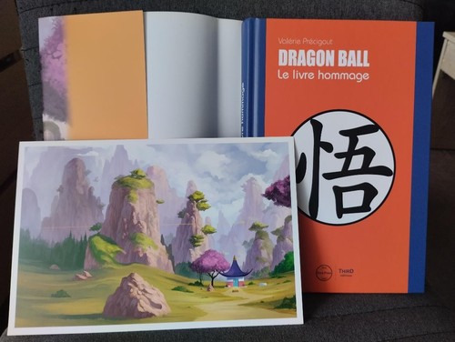 Dragon ball livre - ball,