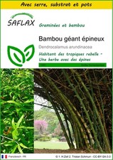 SAFLAX - Kit de culture -