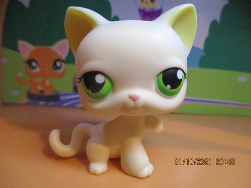 Petshop carthusian cat - cat, #98