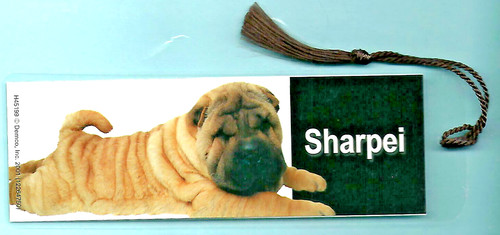 Pug shar pei ori - ori, puppy