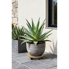 Chariot à roulettes chariot