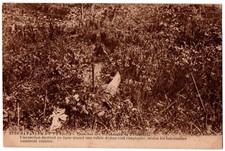 Old postcard 55 - Thiaumont (Meuse) - 3730. La Tranchée des Baïonnettes