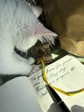 Waterman Carene Fountain Pen 18k M Nib Silver Cap Stylo plume | Lamy 2000 Alt