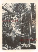 Service Technique Pour Moto NSU Avant Appel En France