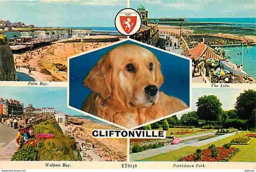Carte postale animaux - carte,