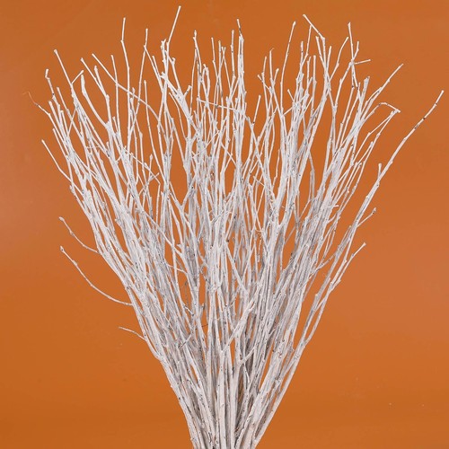 40pcs real dried birch twigs - real,