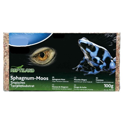 Sphaigne mousse shagnum - sphaigne, de