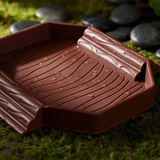 Bassin de Bain pour Reptile