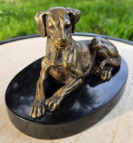 Bronze chien allongé - –,