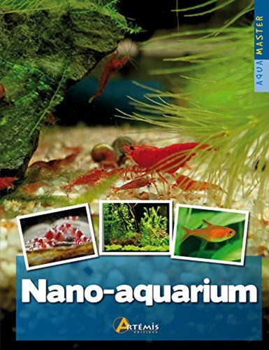 Nano aquarium maître - nano-aquarium, |