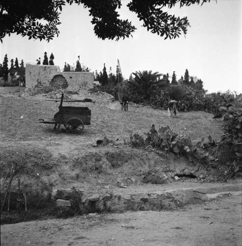 Tunis 1950 ruines - c., prairie