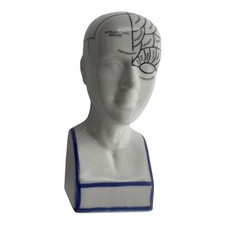 MEDICAL PHRENOLOGY HEAD BUST Vintage Figure 6" Tall STATUE Scientific Psychology