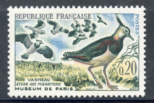 Stamp timbre france neuf - /,
