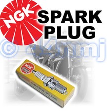 Neuf NGK Remplacement Allumage