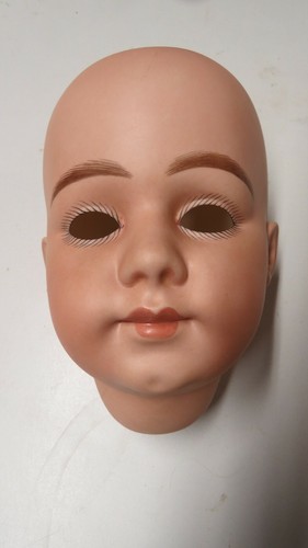 Tête seule reproduction de - seule, :