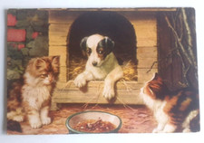 Carte Postale Ancienne  Chats