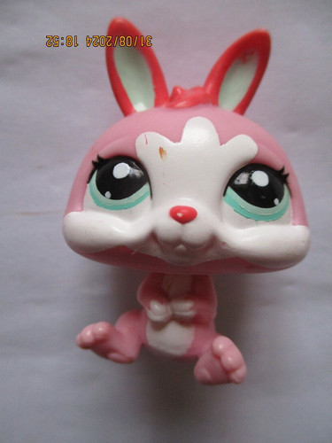 Petshop lapin nain - petshop,