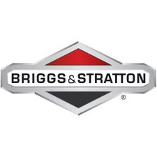Briggs & Stratton Tiny Scan | 19626