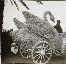 Carnaval Char fleuri Cygne