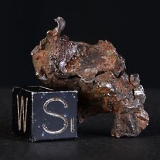 Météorite NWA 15738 de 9,76