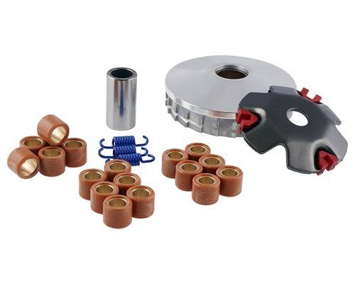 Variateur wachmann performance - variateur,