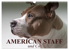 American Staff und Co